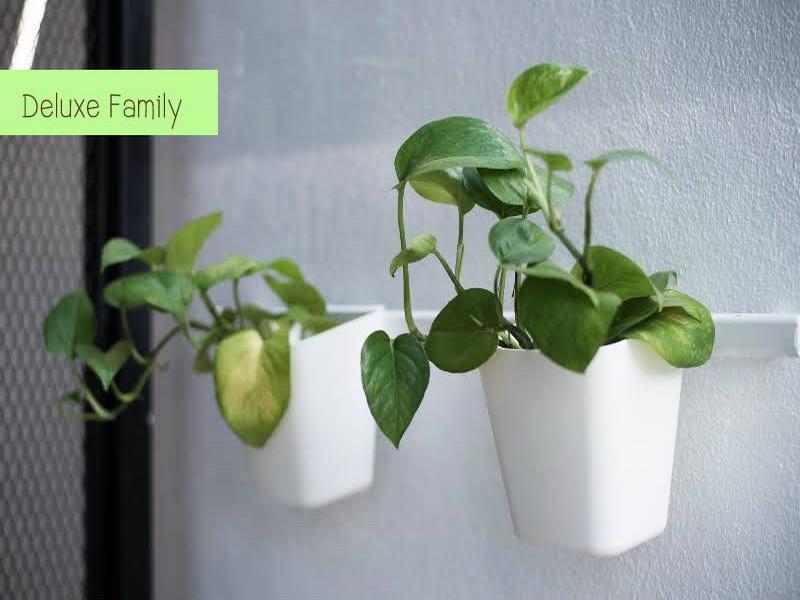 The Leaf Chiangmai Service Apartment Чіангмай Екстер'єр фото